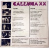 Calluna XX - De Heide (uit Ede)