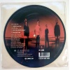 Soundgarden (picturedisc) - Fell On Black Days