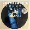 Soundgarden (picturedisc) - Spoonman