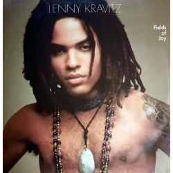 Lenny Kravitz - Fields of Joy