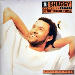 Shaggy - In the summertime