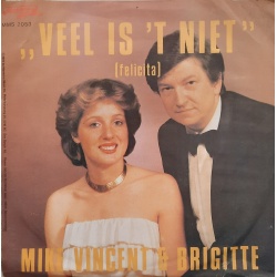 Mike Vincent & Brigitte - Veel is 't Niet