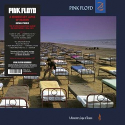 Pink Floyd - A Momentary Lapse of Reason (remastered)