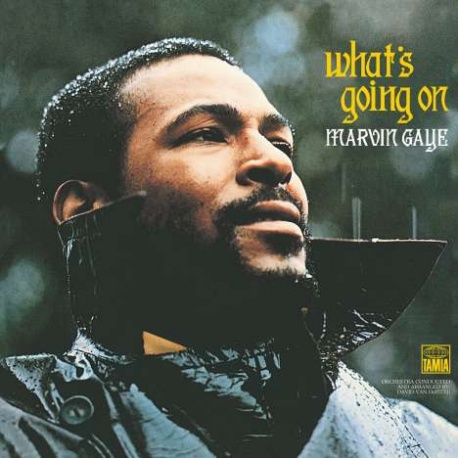 Marvin Gaye - What's Going On