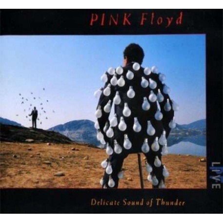 Pink Floyd - Delicate sound of thunder