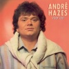 Andre Hazes - Voor Jou (gekleurd vinyl)