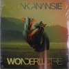 Skunk Anansie - Wonderlustre