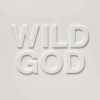 Nick Cave - Wild God